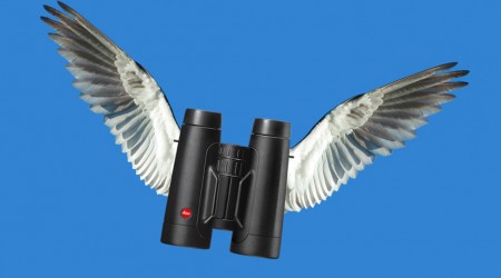Traveling Trinovid soaring on borrowed wings!