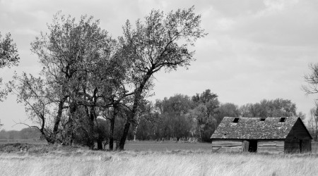 Home on the Prairie