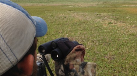 Doug and Travis checking out a Long-tailed Jaeger (© Tom Johnson)