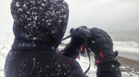 Travis scans the Arctic Ocean.