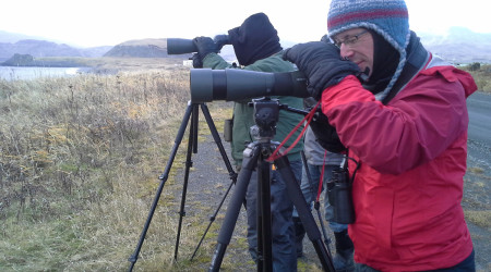 seawatching