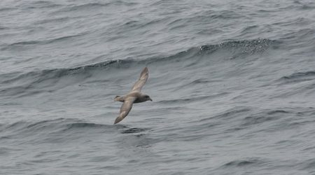 20140410-IMG_1339